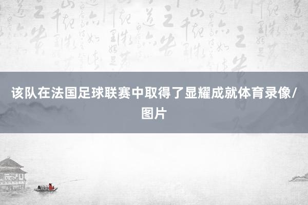 该队在法国足球联赛中取得了显耀成就体育录像/图片