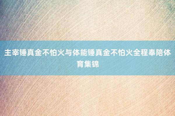 主宰锤真金不怕火与体能锤真金不怕火全程奉陪体育集锦