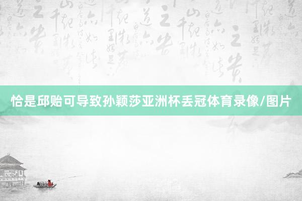 恰是邱贻可导致孙颖莎亚洲杯丢冠体育录像/图片
