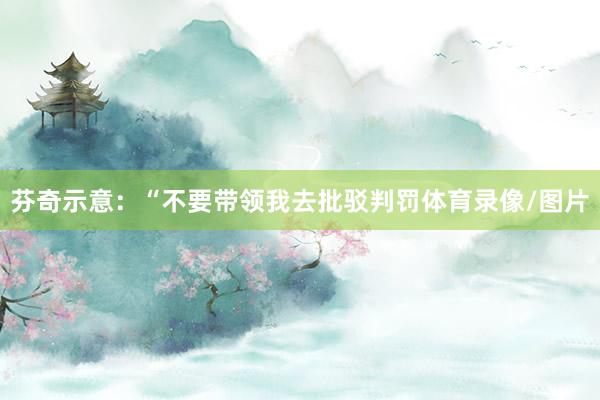 芬奇示意：“不要带领我去批驳判罚体育录像/图片
