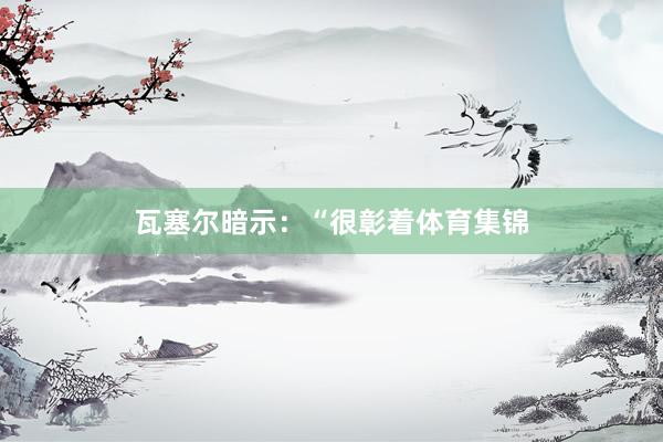 瓦塞尔暗示：“很彰着体育集锦