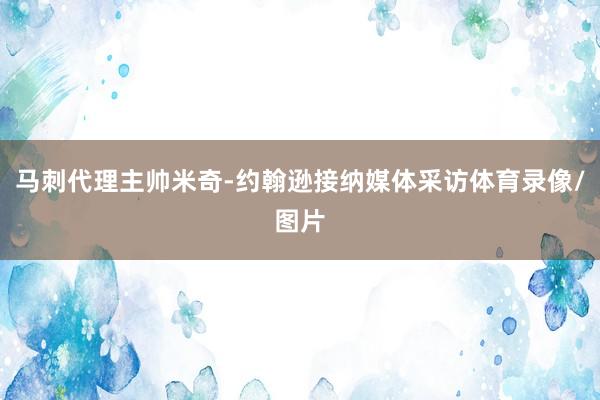 马刺代理主帅米奇-约翰逊接纳媒体采访体育录像/图片