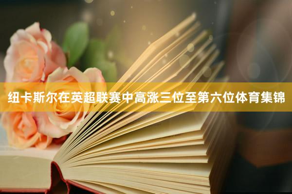 纽卡斯尔在英超联赛中高涨三位至第六位体育集锦