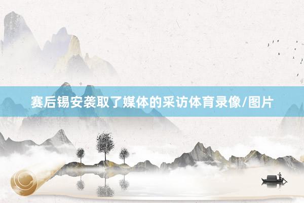 赛后锡安袭取了媒体的采访体育录像/图片