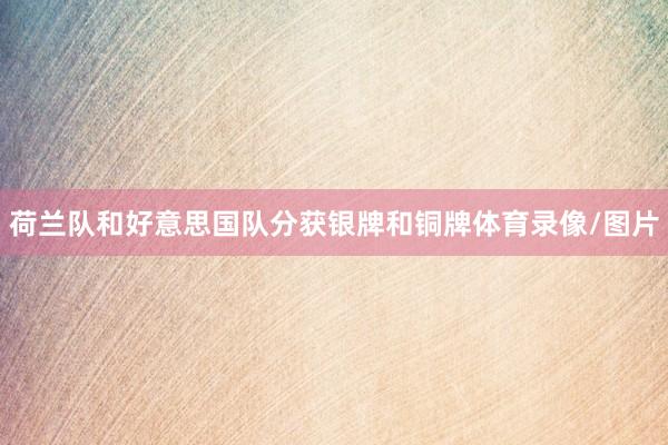 荷兰队和好意思国队分获银牌和铜牌体育录像/图片