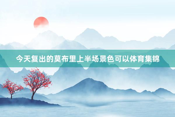 今天复出的莫布里上半场景色可以体育集锦