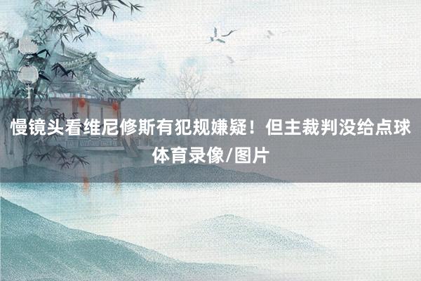 慢镜头看维尼修斯有犯规嫌疑！但主裁判没给点球体育录像/图片
