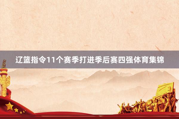 辽篮指令11个赛季打进季后赛四强体育集锦
