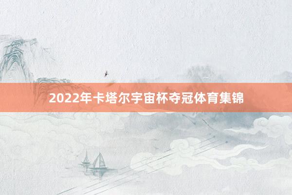 2022年卡塔尔宇宙杯夺冠体育集锦