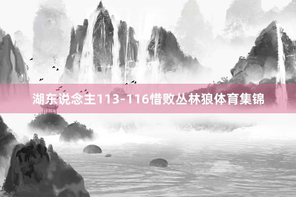 湖东说念主113-116惜败丛林狼体育集锦