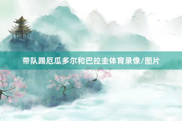 带队踢厄瓜多尔和巴拉圭体育录像/图片
