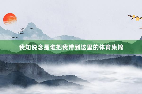 我知说念是谁把我带到这里的体育集锦
