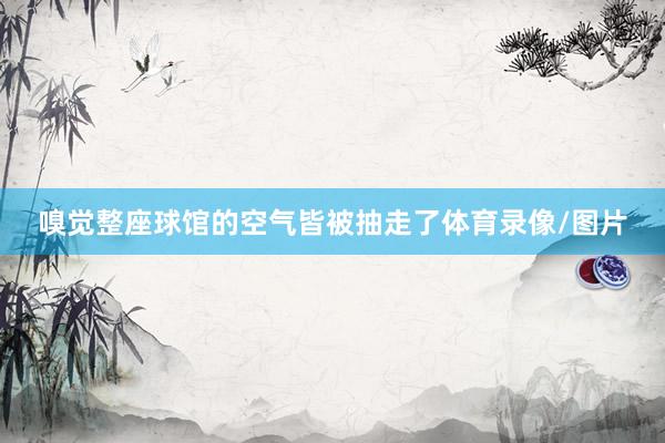 嗅觉整座球馆的空气皆被抽走了体育录像/图片