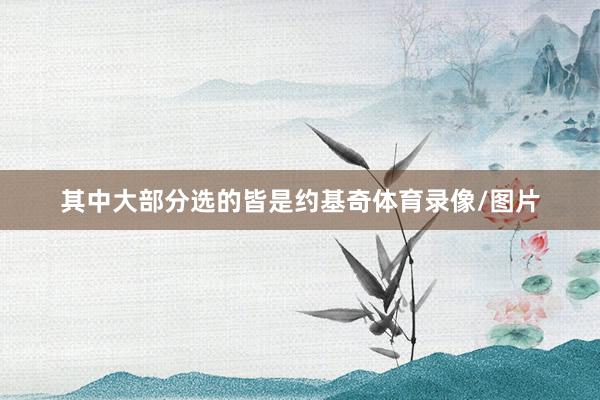其中大部分选的皆是约基奇体育录像/图片