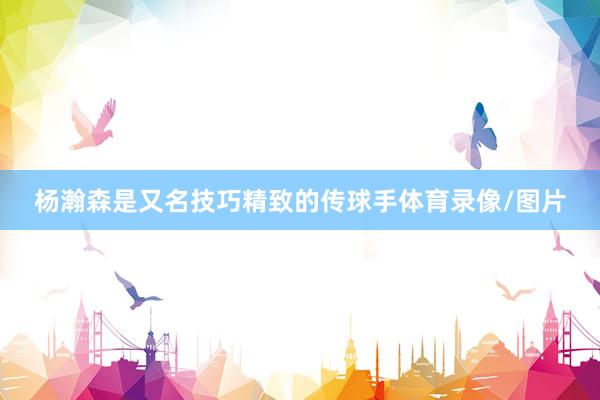 杨瀚森是又名技巧精致的传球手体育录像/图片