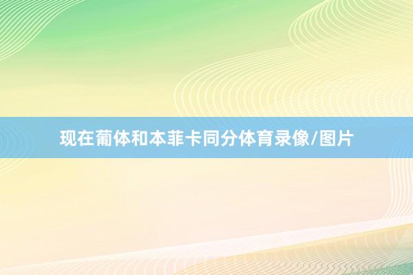 现在葡体和本菲卡同分体育录像/图片