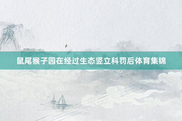 鼠尾猴子园在经过生态竖立科罚后体育集锦