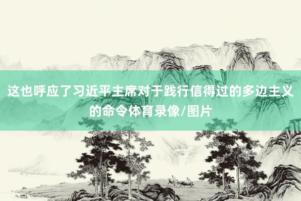 这也呼应了习近平主席对于践行信得过的多边主义的命令体育录像/图片