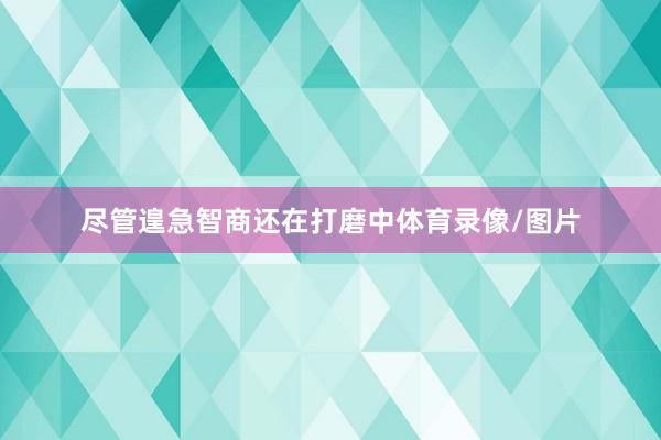 尽管遑急智商还在打磨中体育录像/图片
