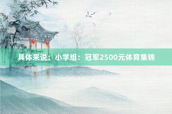具体来说：小学组：冠军2500元体育集锦