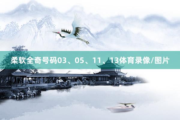 柔软全奇号码03、05、11、13体育录像/图片