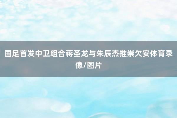 国足首发中卫组合蒋圣龙与朱辰杰推崇欠安体育录像/图片