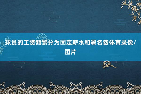 球员的工资频繁分为固定薪水和署名费体育录像/图片