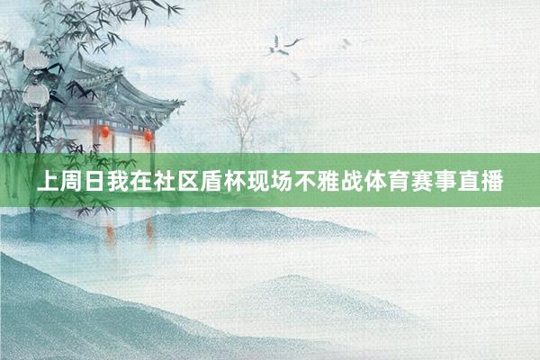 上周日我在社区盾杯现场不雅战体育赛事直播