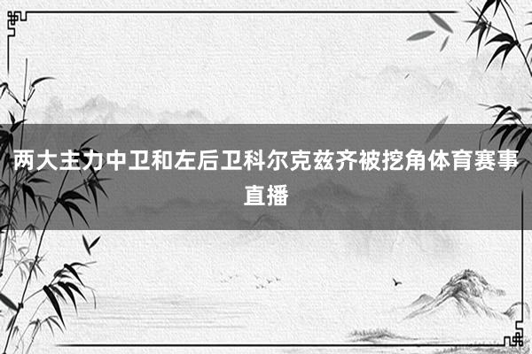 两大主力中卫和左后卫科尔克兹齐被挖角体育赛事直播