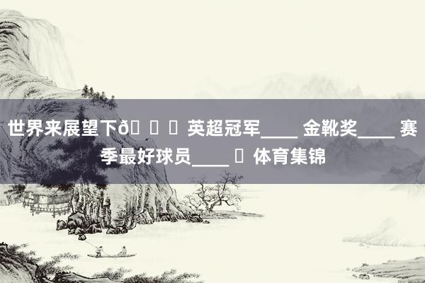 世界来展望下👇英超冠军____ 金靴奖____ 赛季最好球员____ ​体育集锦