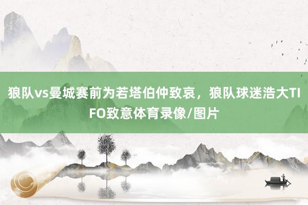 狼队vs曼城赛前为若塔伯仲致哀，狼队球迷浩大TIFO致意体育录像/图片