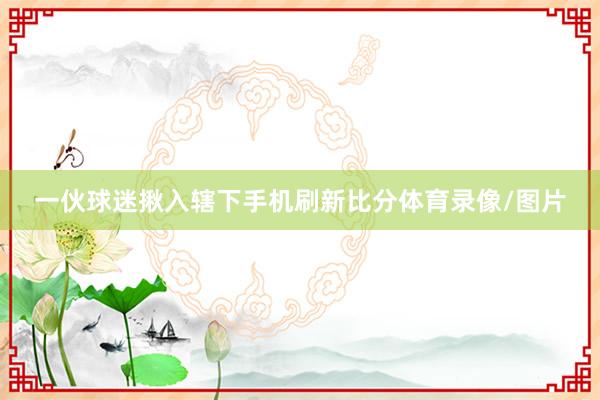 一伙球迷揪入辖下手机刷新比分体育录像/图片