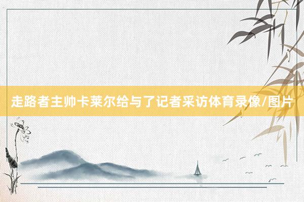 走路者主帅卡莱尔给与了记者采访体育录像/图片