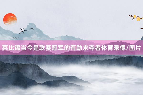 莱比锡当今是联赛冠军的有劲求夺者体育录像/图片