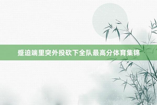 蹙迫端里突外投砍下全队最高分体育集锦