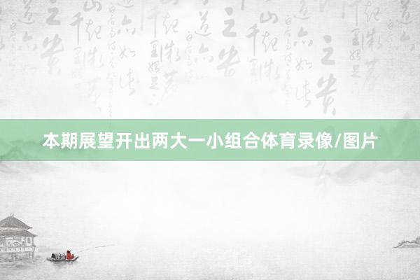 本期展望开出两大一小组合体育录像/图片