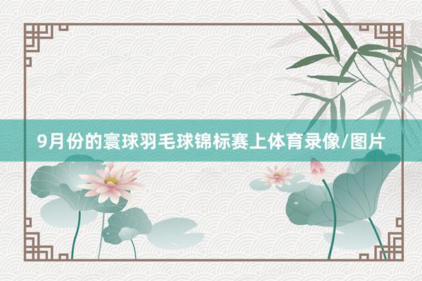 9月份的寰球羽毛球锦标赛上体育录像/图片