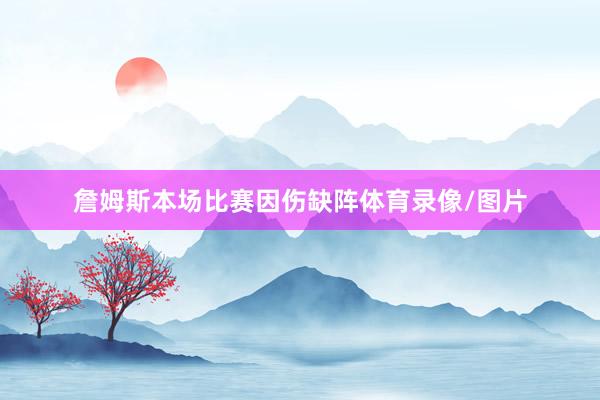詹姆斯本场比赛因伤缺阵体育录像/图片