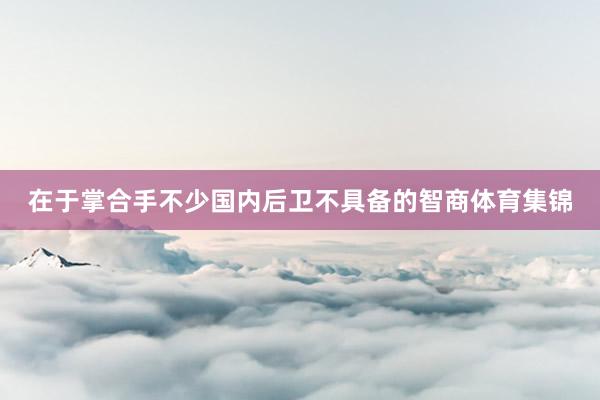 在于掌合手不少国内后卫不具备的智商体育集锦