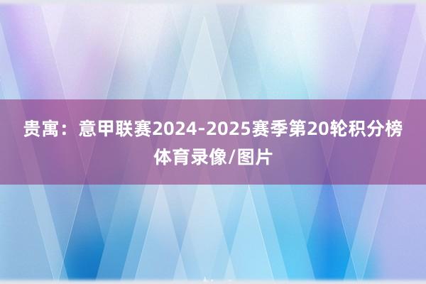 贵寓：意甲联赛2024-2025赛季第20轮积分榜体育录像/图片