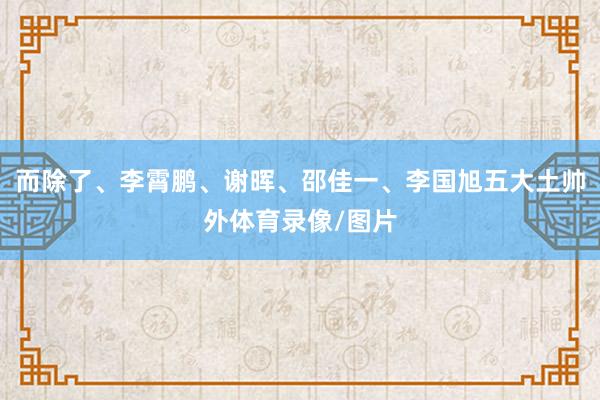 而除了、李霄鹏、谢晖、邵佳一、李国旭五大土帅外体育录像/图片