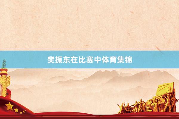 樊振东在比赛中体育集锦