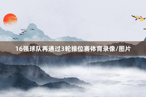 16强球队再通过3轮排位赛体育录像/图片