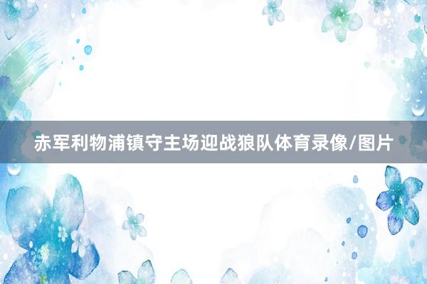 赤军利物浦镇守主场迎战狼队体育录像/图片