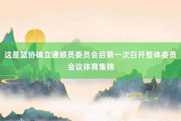 这是篮协确立通顺员委员会后第一次召开整体委员会议体育集锦