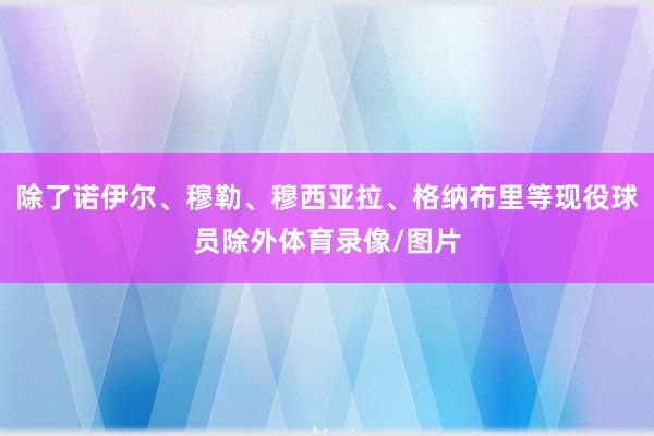 除了诺伊尔、穆勒、穆西亚拉、格纳布里等现役球员除外体育录像/图片