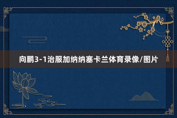 向鹏3-1治服加纳纳塞卡兰体育录像/图片