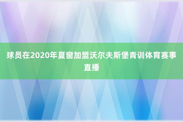 球员在2020年夏窗加盟沃尔夫斯堡青训体育赛事直播