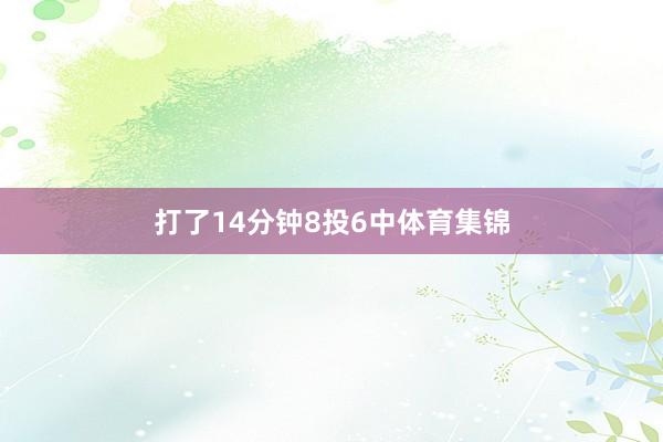 打了14分钟8投6中体育集锦